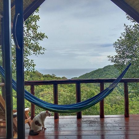 Tree House Bungalows Тао Екстер'єр фото